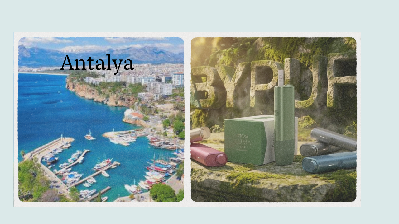 Antalya IQOS Terea Satış Noktası