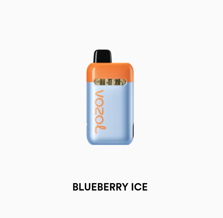 Vozol Neon Plug Max Blueberry ice