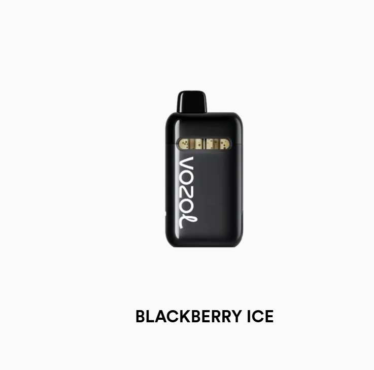 Vozol Neon Plug Max Blackberry ice
