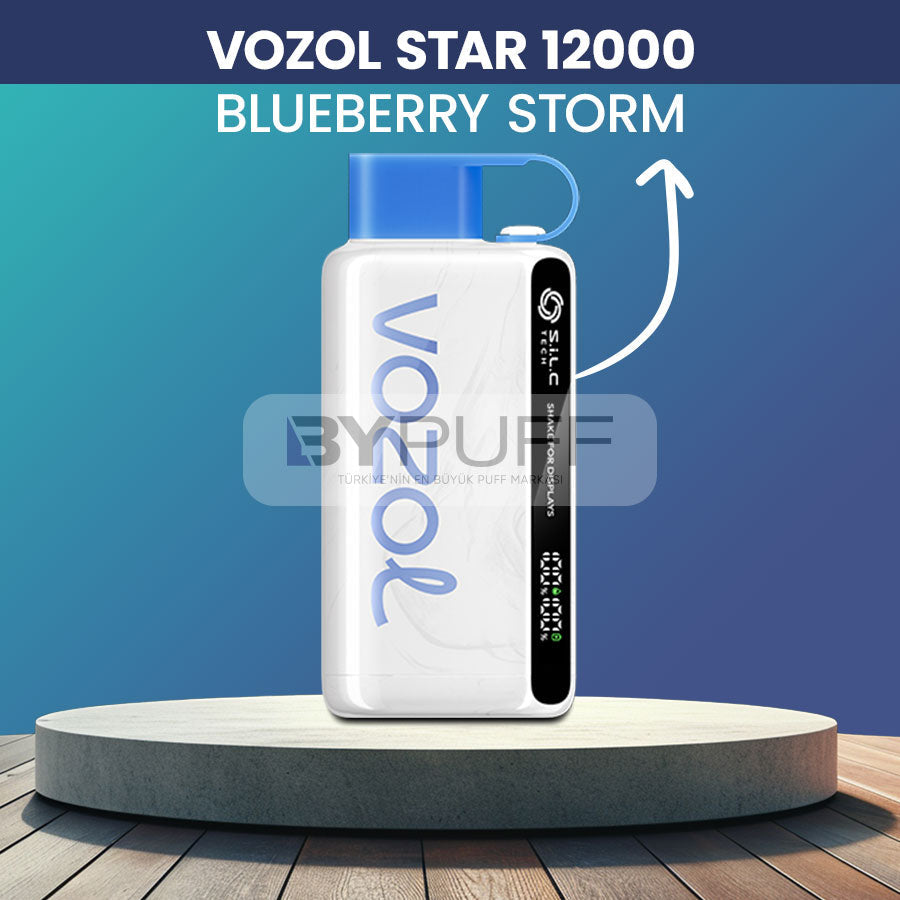 Vozol 12000 Blueberry Storm