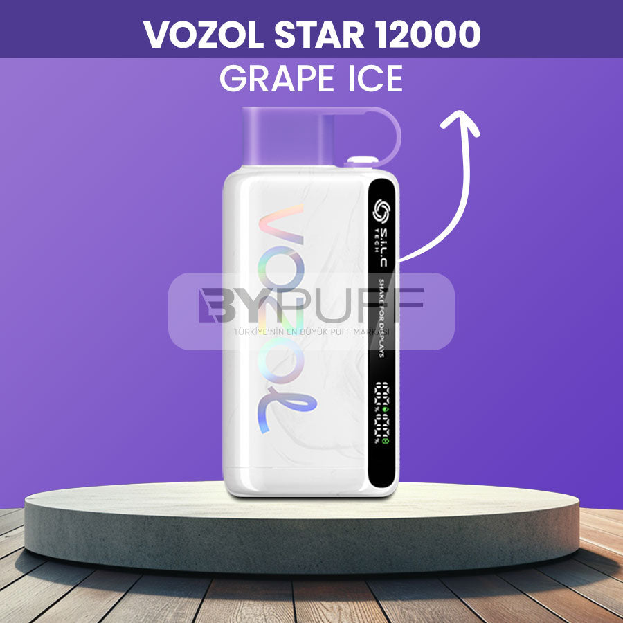 Vozol 12000 Grape ice